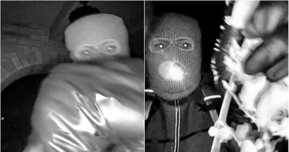 Caso Nancy Guthrie: nuevas evidencias revelan vigilancia previa