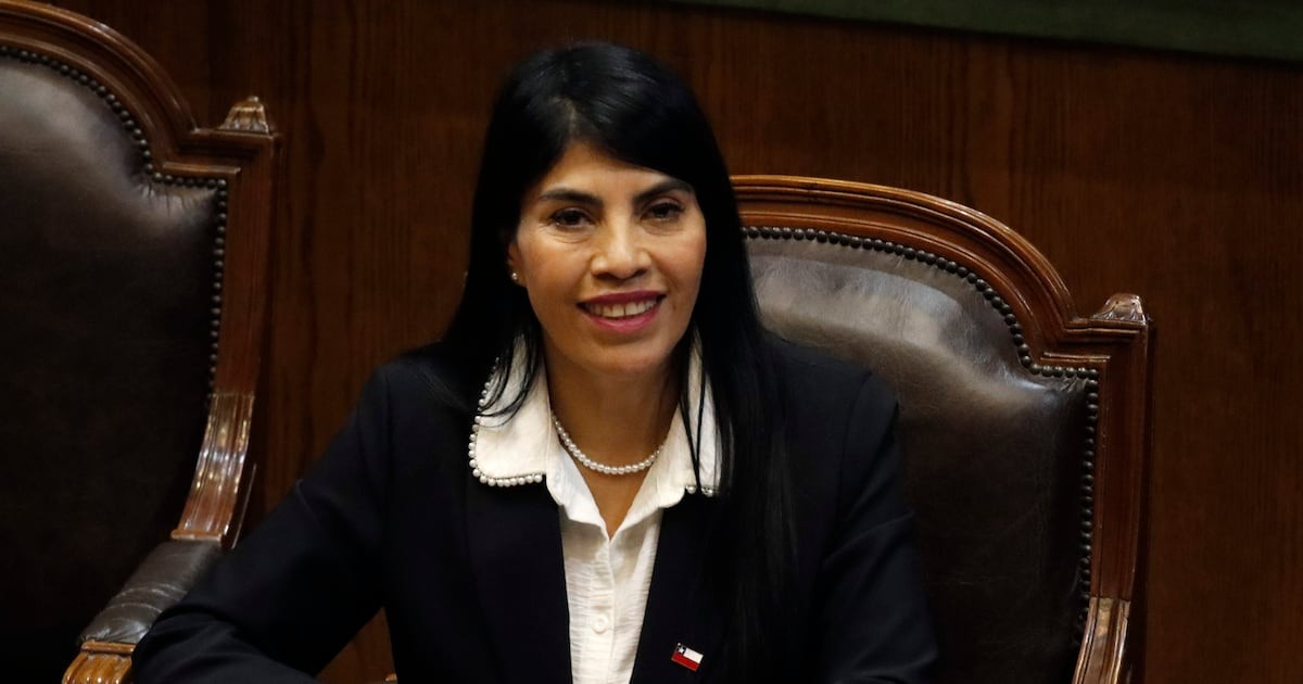 Humanidades en crisis: la urgencia de un diagnóstico nacional