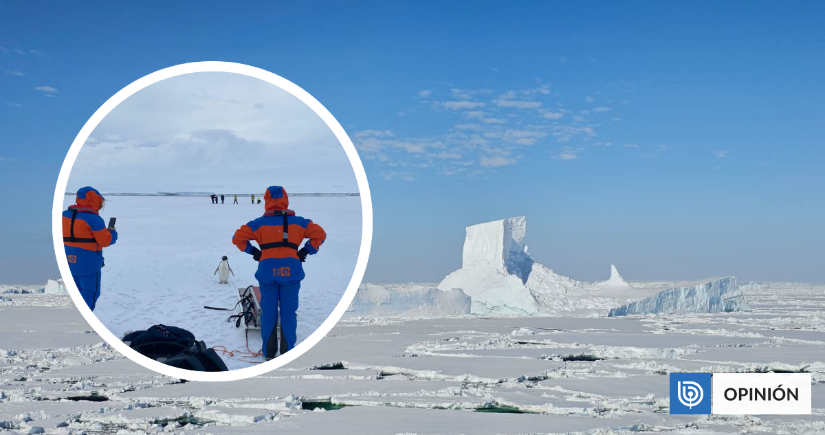 Investigación antártica chilena avanza en estudios oceánicos