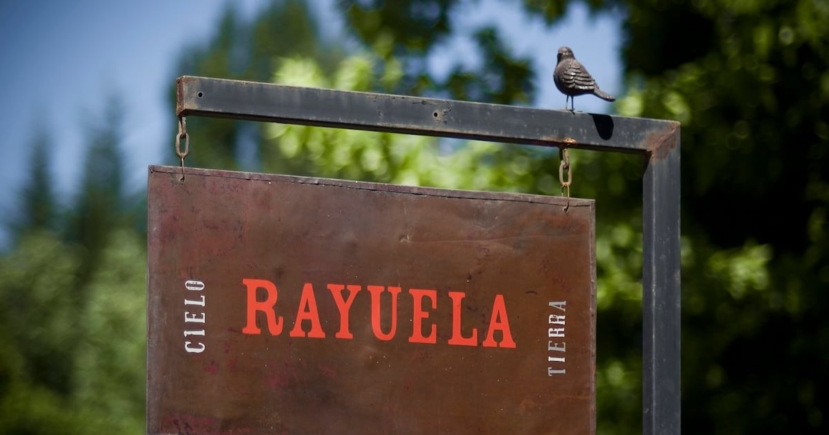 Rayuela reanuda las cenas colaborativas en el valle de Colchagua con chefs de primer nivel